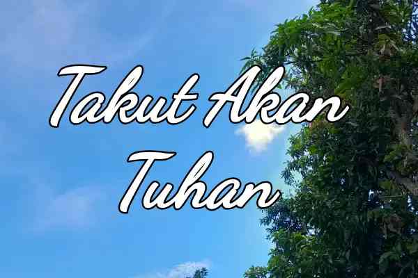 IMG_20251211_084315